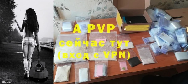 mdpv Богородицк