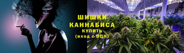 мдпв Новозыбков