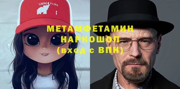 мдпв Новозыбков