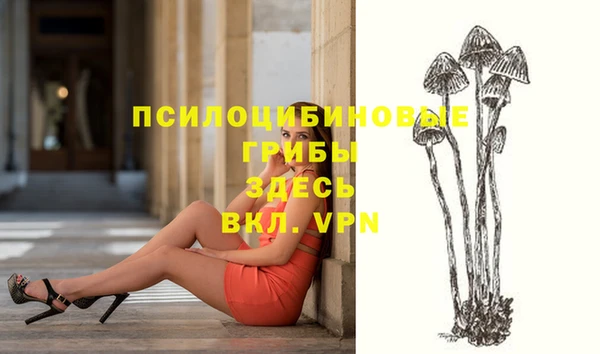 мяу мяу кристалл Новодвинск