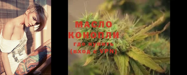 мдпв Новозыбков