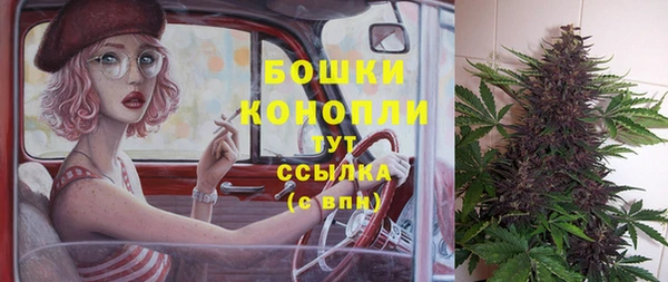 мдпв Новозыбков