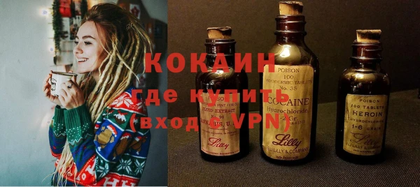 мдпв Новозыбков