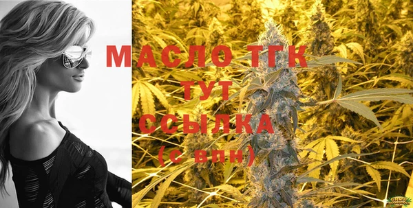 мдпв Новозыбков
