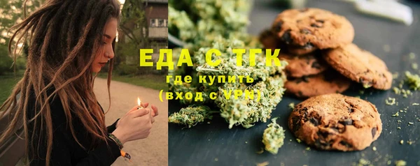 мдпв Новозыбков