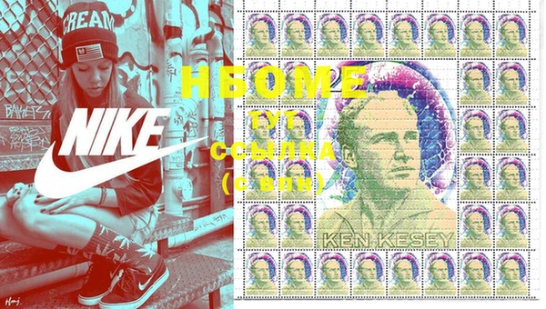 мдпв Новозыбков