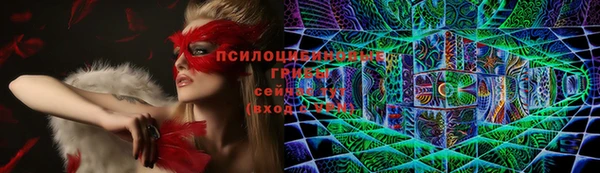 каннабис Новокубанск