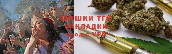 мдпв Новозыбков